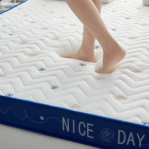 Sponge Mattress, Single Person Sponge Mattress for Student Dormitories, Tatami Mats, Floor Mats, Sleeping Mats with Latex Layer - Image 5