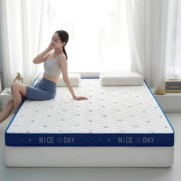 Sponge Mattress, Single Person Sponge Mattress for Student Dormitories, Tatami Mats, Floor Mats, Sleeping Mats with Latex Layer - Image 2