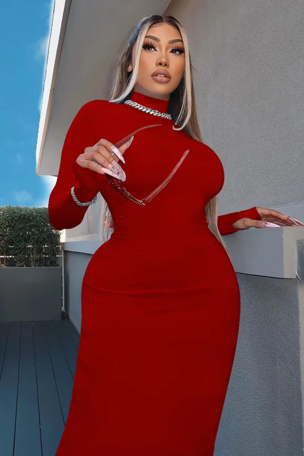 New Winter Longuette Long-Sleeved Elastic Force Slim High Collar Slim Long Dress - Image 4
